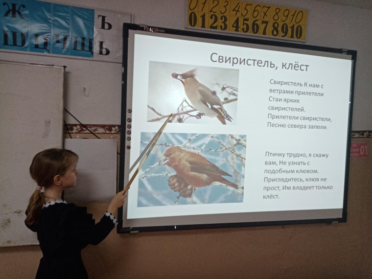 #День зимующих птиц.