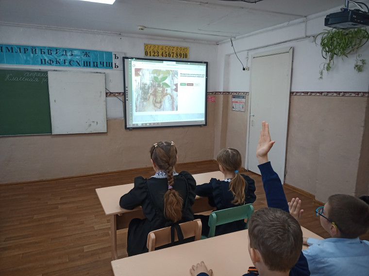 Разговоры о важном.