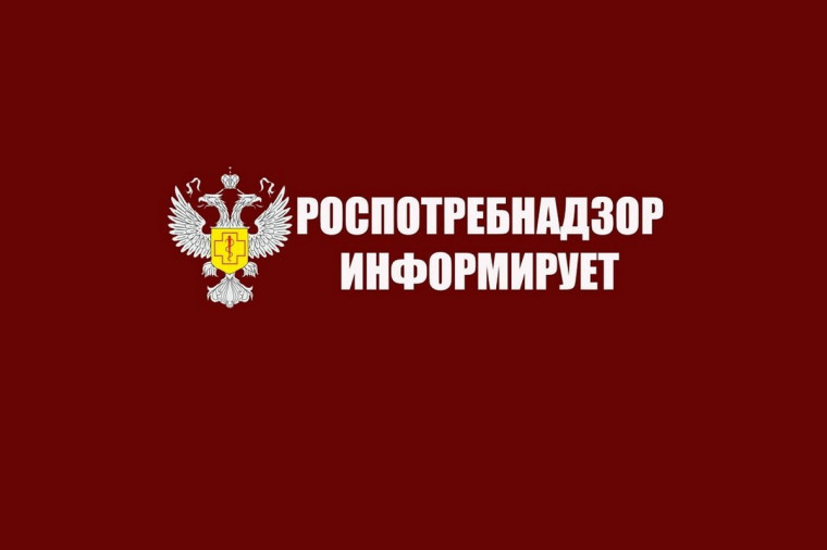 «Горячая линия» по вопросам организации питания в школах..